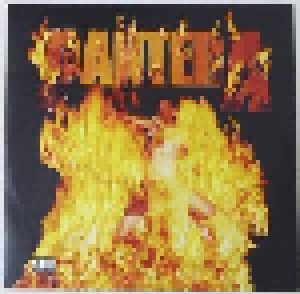 Pantera: Reinventing The Steel (2-LP) - Bild 5