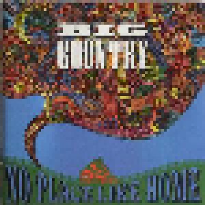 Big Country: No Place Like Home (CD) - Bild 1
