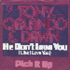 Tony Orlando & Dawn: He Don't Love You - Cover