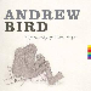 Andrew Bird: Things Are Really Great Here, Sort Of... - Cover