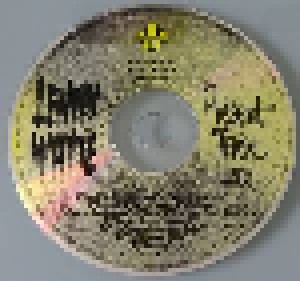 Lenny White: Present Tense (CD) - Bild 3