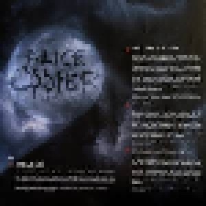 Alice Cooper: Detroit Stories (2-12") - Bild 6
