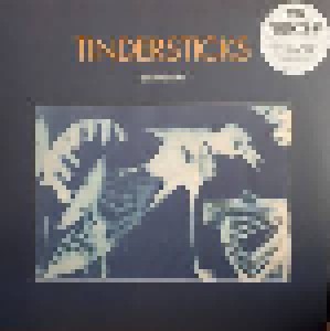 Tindersticks: Distractions (LP) - Bild 1