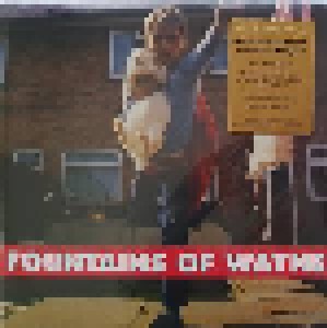 Fountains Of Wayne: Fountains Of Wayne (LP) - Bild 2