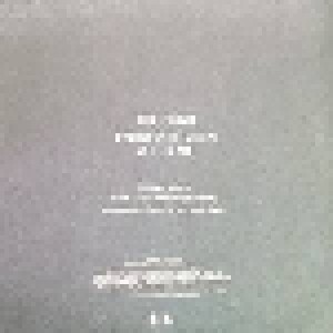 PJ Harvey: The Piano (Promo-Single-CD) - Bild 2