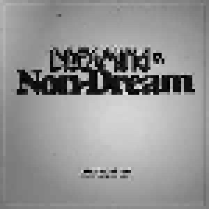Chris Forsyth & The Solar Motel Band: Dreaming In The Non-Dream (LP) - Bild 1