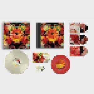 Band Of Skulls: Baby Darling Doll Face Honey (LP + 10" + 4-CD + USB-Stick) - Bild 3