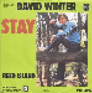 David Winter: Stay (7") - Bild 1