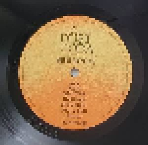 The Dust Coda: Mojo Skyline (LP) - Bild 6