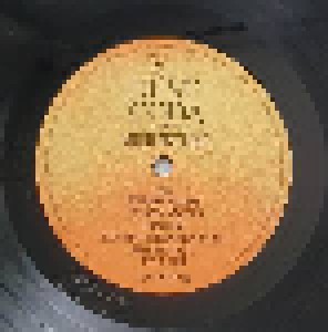 The Dust Coda: Mojo Skyline (LP) - Bild 7