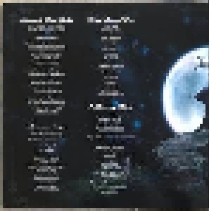 Limbonic Art: Moon In The Scorpio (2-LP) - Bild 3