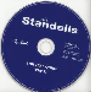The Standells: The Hot Ones / Try It (CD) - Bild 4