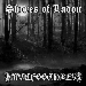 Shores Of Ladon + Wolfsschrei: An Den Ufern Des Ladon / Infinite - Dimensional (Split-LP) - Bild 1