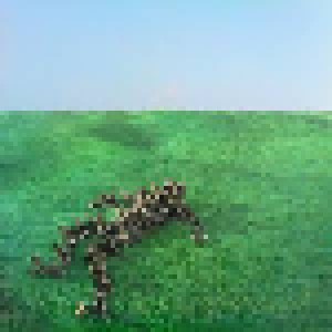Squid: Bright Green Field (2-LP) - Bild 1