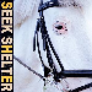 Cover - Iceage: Seek Shelter