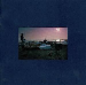Pink Floyd: A Momentary Lapse Of Reason (CD) - Bild 8