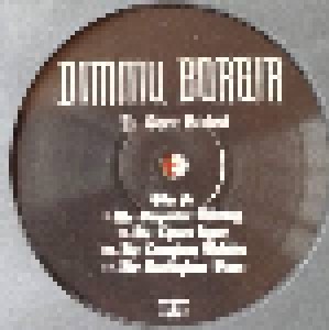 Dimmu Borgir: In Sorte Diaboli (LP) - Bild 8