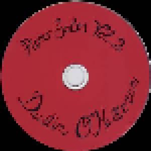 Dustin O'Halloran: Piano Solos Vol. 2 (Promo-CD) - Bild 3