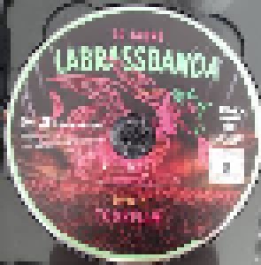 LaBrassBanda: Around The World Live (2-DVD) - Bild 4