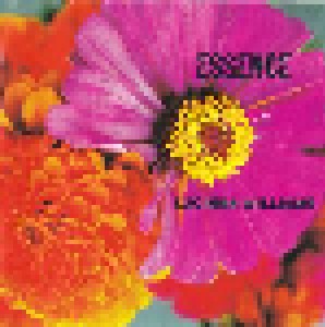 Lucinda Williams: Essence (CD) - Bild 1