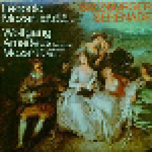 Wolfgang Amadeus Mozart, Leopold Mozart: Salzburger Serenade - Cover