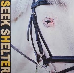 Iceage: Seek Shelter (LP) - Bild 1