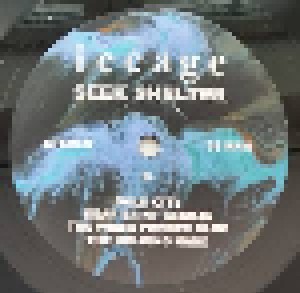 Iceage: Seek Shelter (LP) - Bild 8