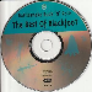 Blackfoot: Rattlesnake Rock 'n' Roll: The Best Of Blackfoot (CD) - Bild 3