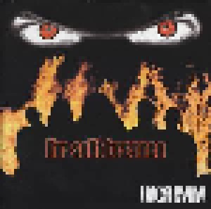Ingrimm: Ihr Sollt Brennen (CD) - Bild 1
