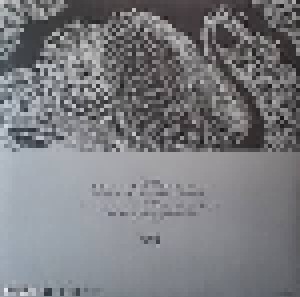 Bert Jansch: The Black Swan (LP) - Bild 2