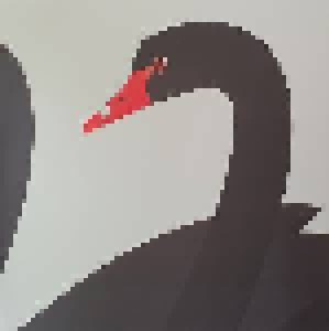Bert Jansch: The Black Swan (LP) - Bild 7