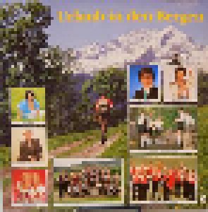 Cover - Bernauerhof-Musikanten, Die: Urlaub In Den Bergen