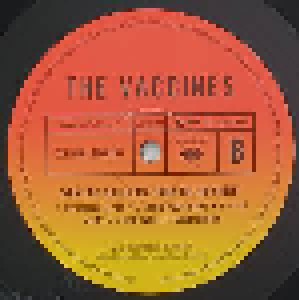 The Vaccines: What Did You Expect From The Vaccines? (LP) - Bild 5