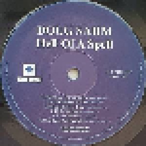 Doug Sahm: Hell Of A Spell (LP) - Bild 4