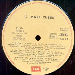 12 Maxi Tubes (2-LP) - Bild 6