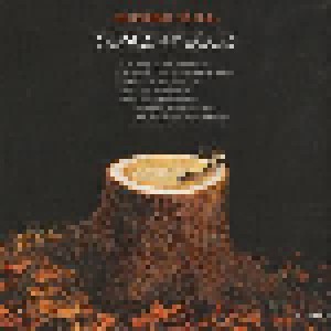 Jethro Tull: Songs From The Wood (CD) - Bild 5