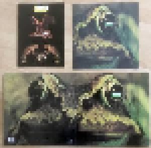 Toad: Toad (2-LP) - Bild 9