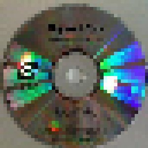 Hayseed Dixie: Breaking The Law (Promo-Single-CD) - Bild 2