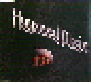Hayseed Dixie: Breaking The Law (Promo-Single-CD) - Bild 1