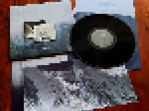 Alastor: Cold Landscapes (LP) - Bild 1