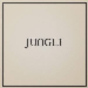 Cover - Jungle: Loving In Stereo