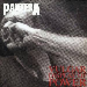 Pantera: Vulgar Display Of Power (2-LP) - Bild 1