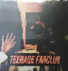 Teenage Fanclub: Deep Fried Fanclub (LP) - Bild 1