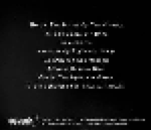 Vulthum: Shadowvoid (CD) - Bild 4