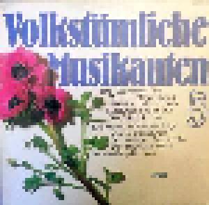 Volkstümliche Musikanten 5 - Cover