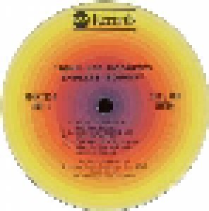 John Lee Hooker: Endless Boogie (2-LP) - Bild 4