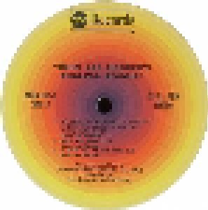 John Lee Hooker: Endless Boogie (2-LP) - Bild 6