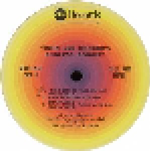 John Lee Hooker: Endless Boogie (2-LP) - Bild 7