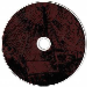 Celestial Bloodshed: Cursed, Scarred And Forever Possessed (CD) - Bild 7