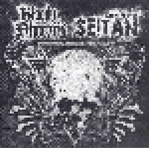 Cover - Seitan: Bloody Phoenix / Seitan